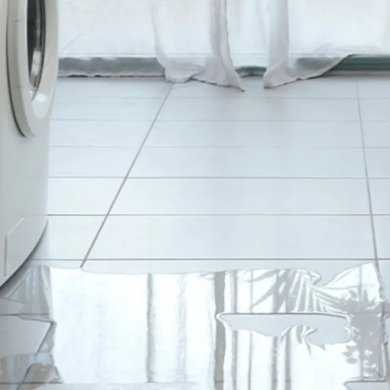 Appliance Leak Cleanup in Bright, IN