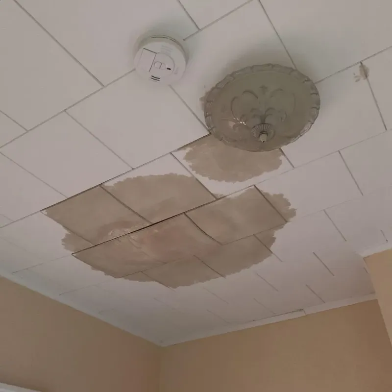 Ceiling Water Damage Repair in Bright, IN