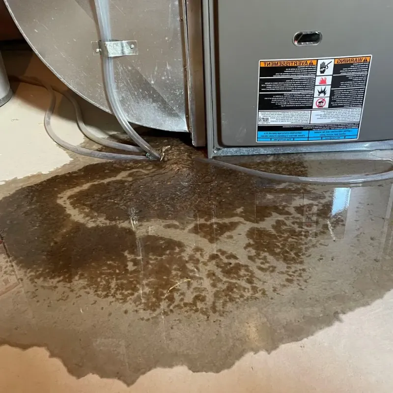 Pipe Burst and Leak Restoration in Bright, IN