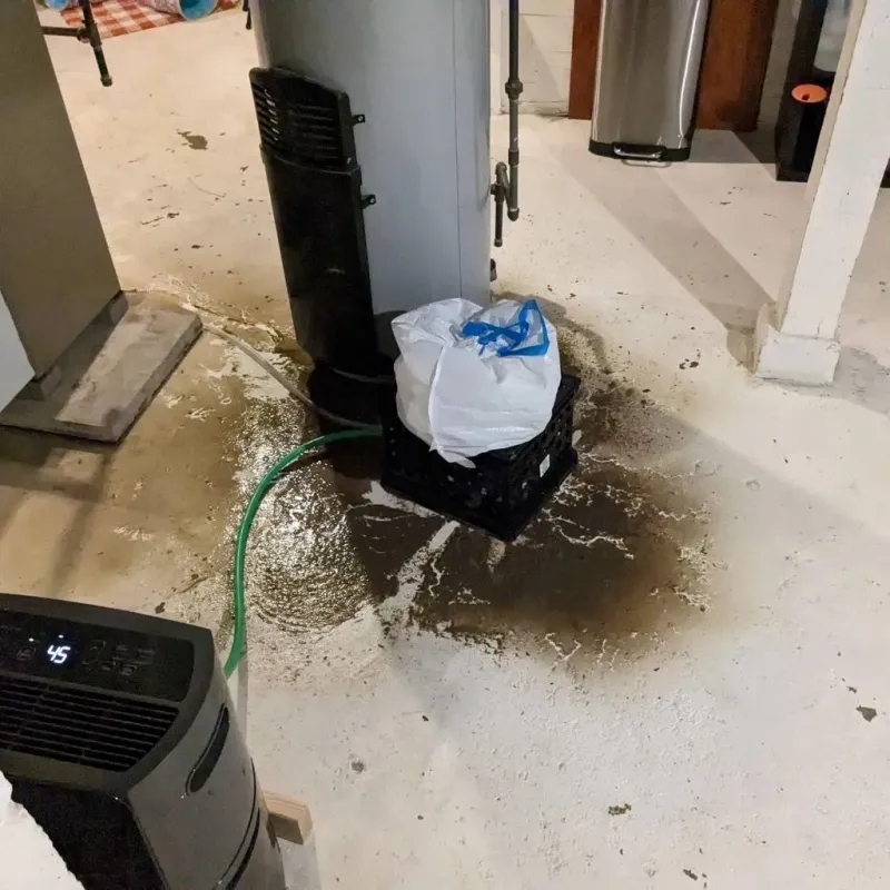 Sewage Backup Cleanup Service in Bright, IN